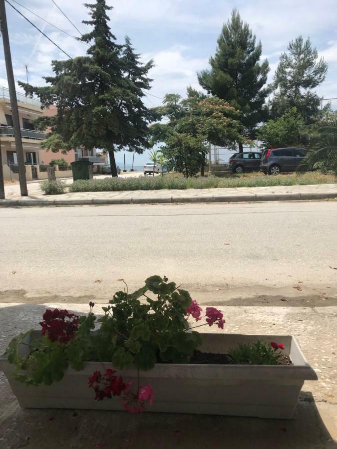 Soula's Sunshine Apartment *